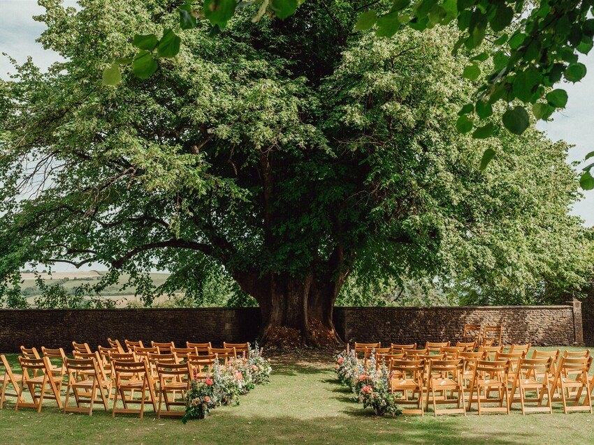 The 400-year-old lime tree with ceremony chairs
